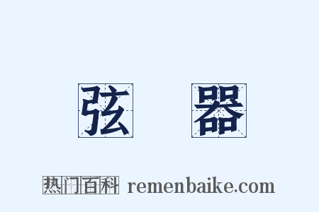 弦樂器是什么意思的图片